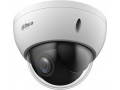 Камера видеонаблюдения Dahua Technology DH-SD22204DB-GNY
