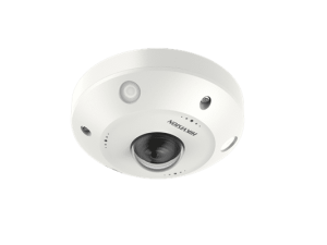 DS_2XM6365G0_IVS-_1.27-mm_-1_266